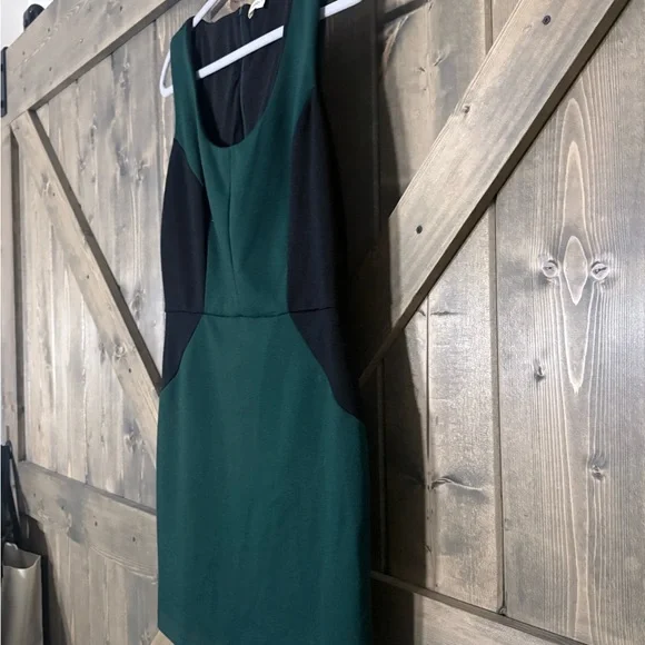 Robbi & Nikki Green & Black Sleeveless Dress. - Picture 4 of 5